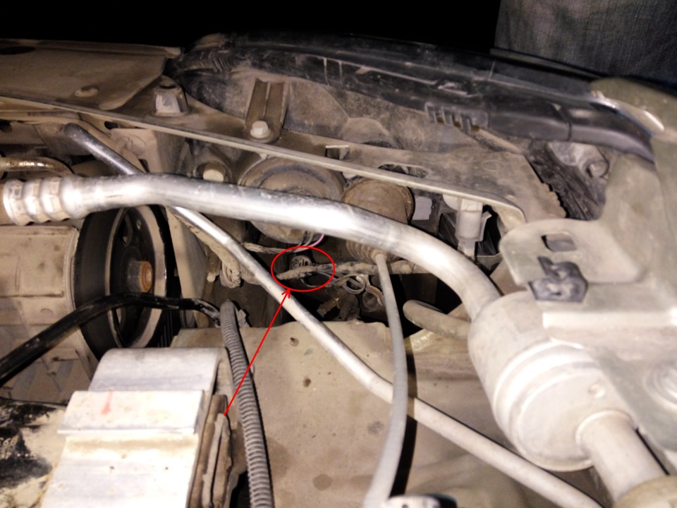 Фото в бортжурнале Renault Sandero 1G