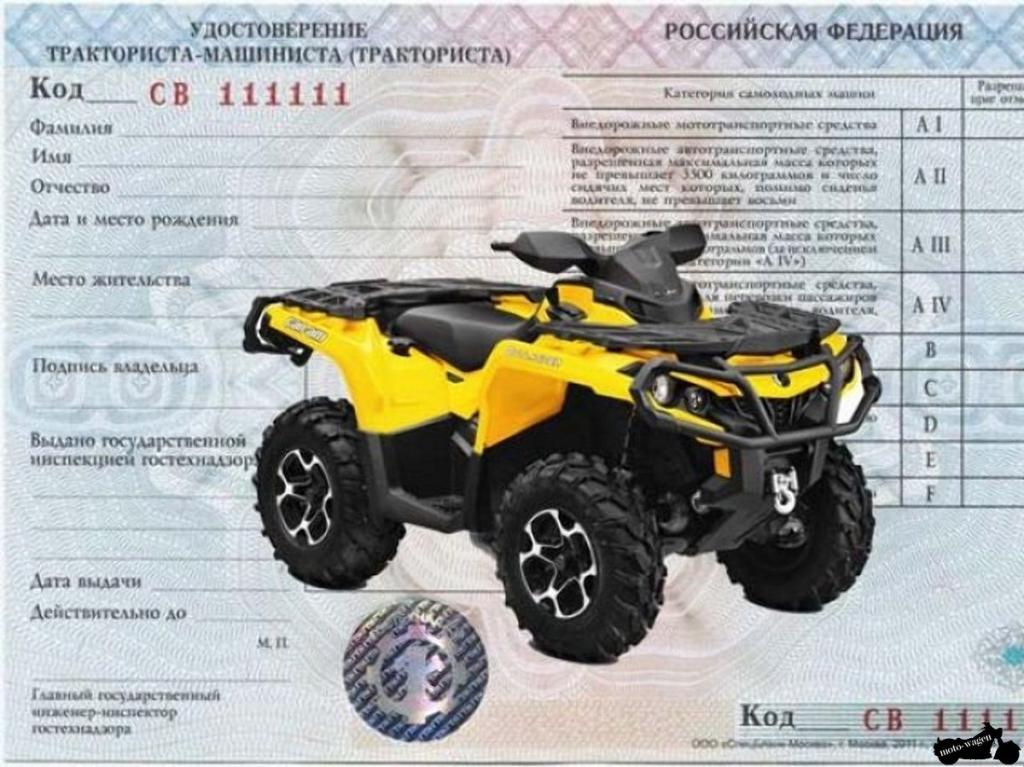 Права на багги