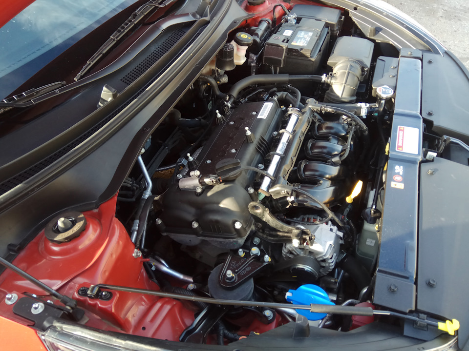 Фото в бортжурнале KIA Rio (4G)