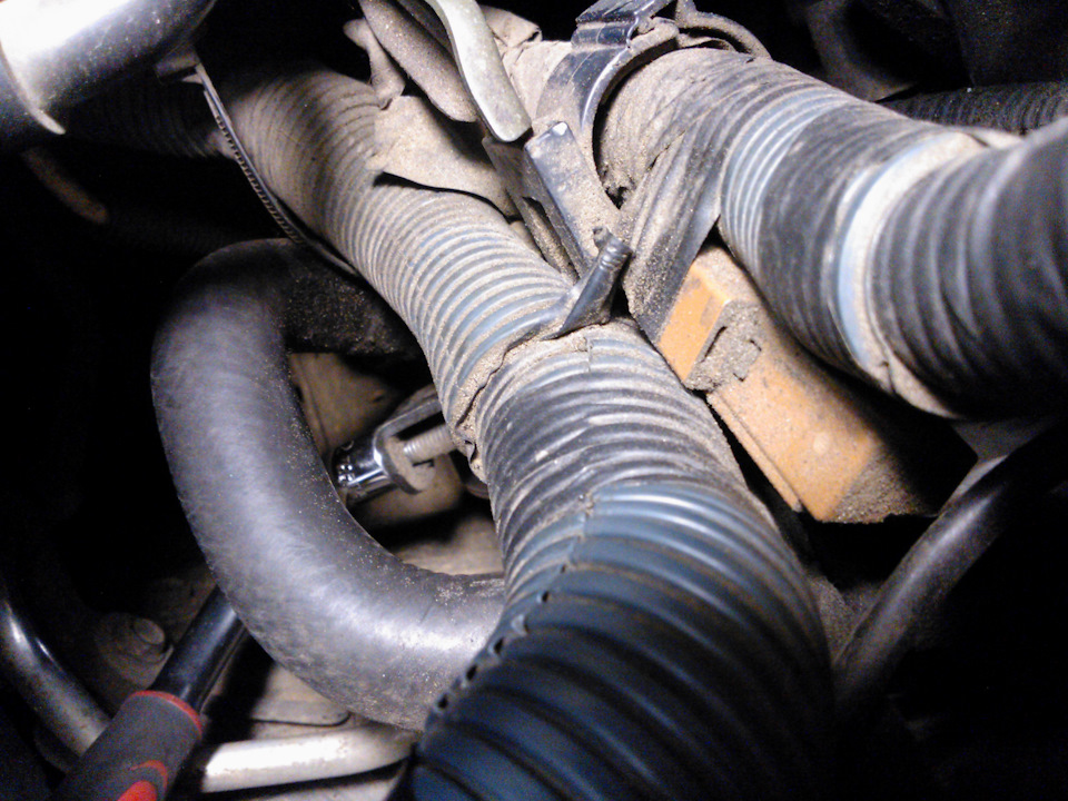 Фото в бортжурнале Nissan Almera II (N16)