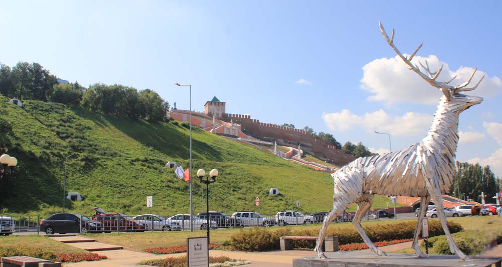Олень