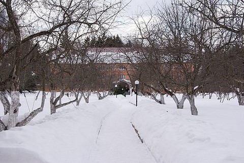 povedniki