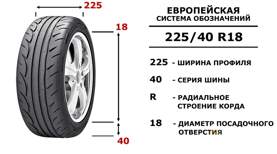 Размерность шины