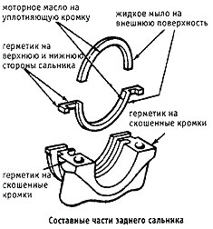 составные части заднего сальника